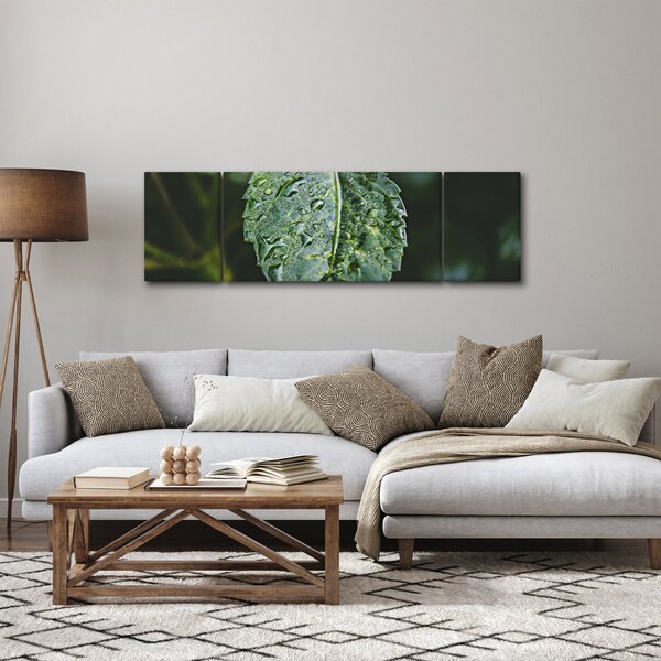 Obraz - krople na liściu (170x50 cm)