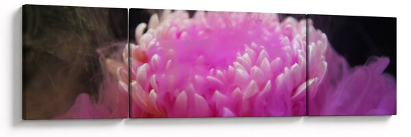 Obraz kwiatu w różowym dymie (170x50 cm)