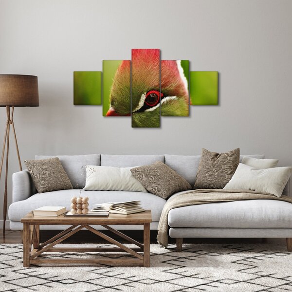 Obraz kolorowego ptaka (125x70 cm)