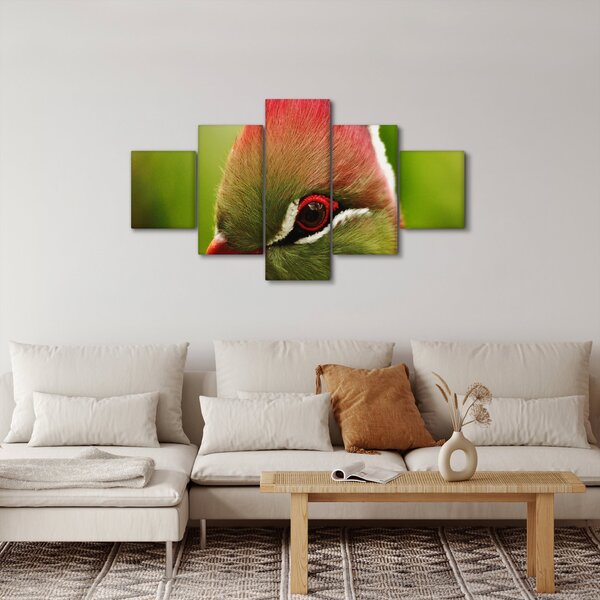 Obraz kolorowego ptaka (125x70 cm)