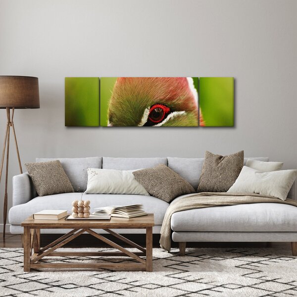 Obraz kolorowego ptaka (170x50 cm)