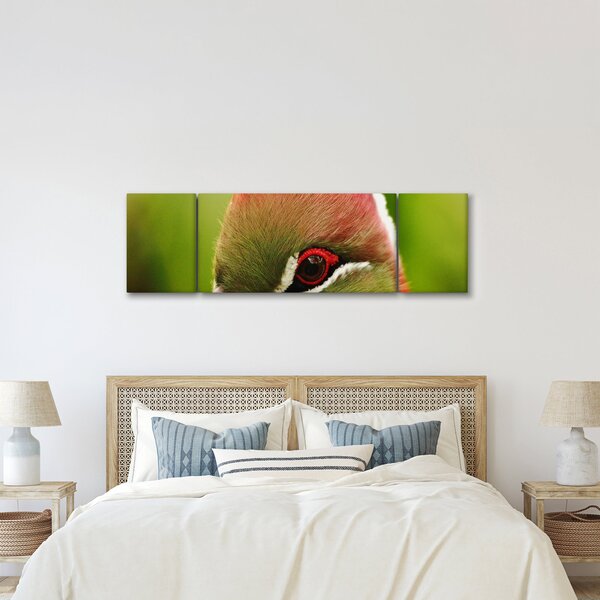 Obraz kolorowego ptaka (170x50 cm)