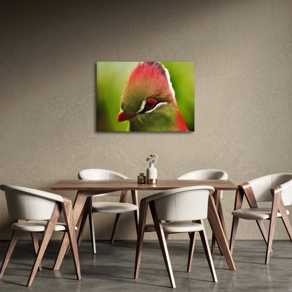 Obraz kolorowego ptaka (70x50 cm)