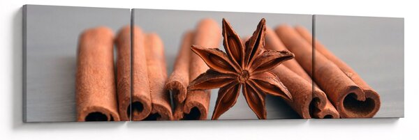 Obraz cynamonu (170x50 cm)