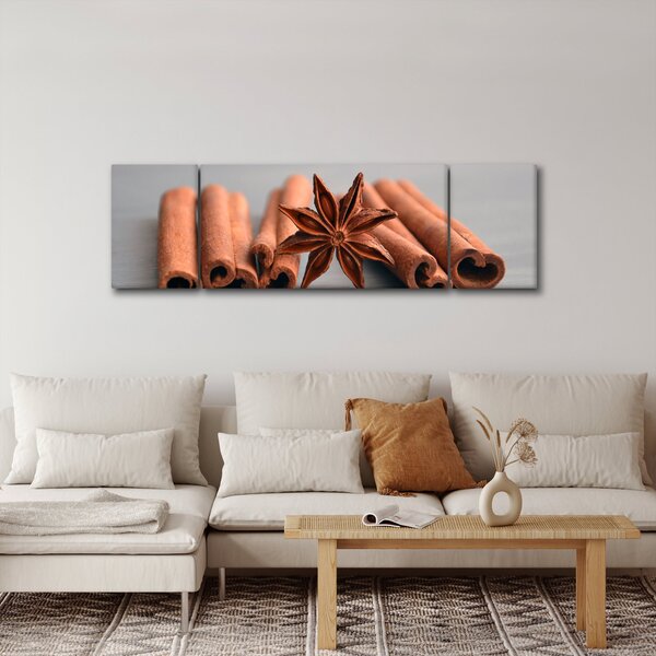 Obraz cynamonu (170x50 cm)