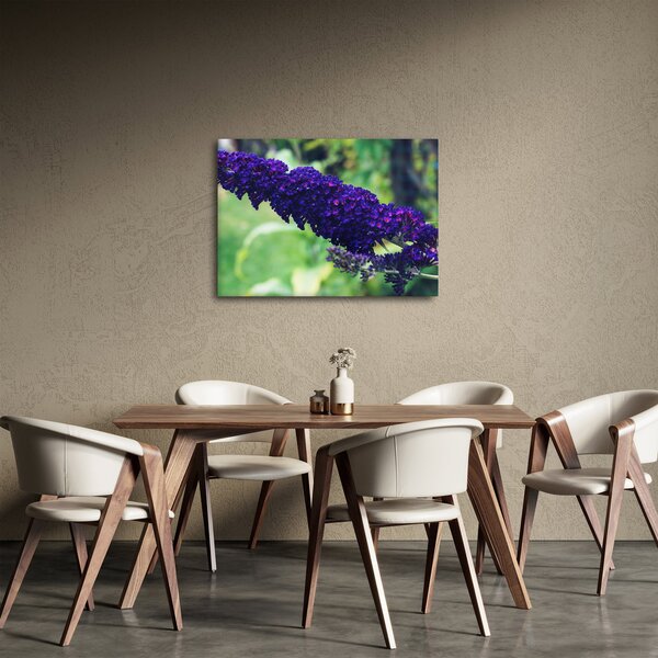 Obraz niebieskiego kwiatu (70x50 cm)