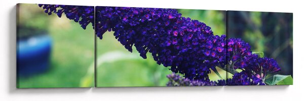 Obraz niebieskiego kwiatu (170x50 cm)