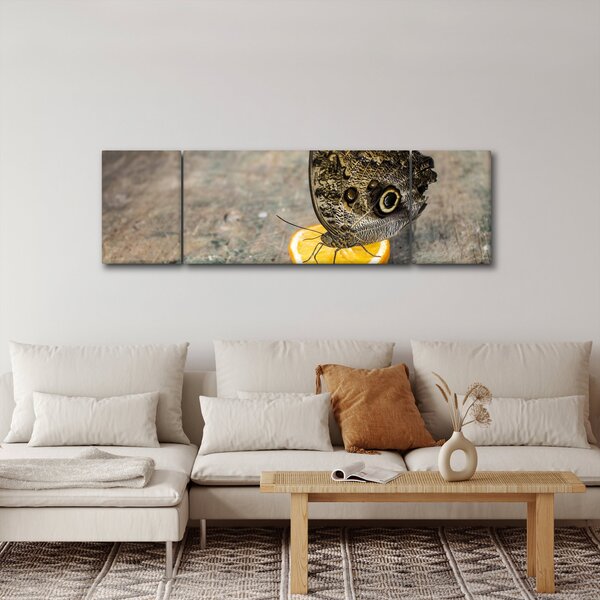 Obraz motyla (170x50 cm)