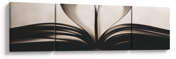 Obraz książki (170x50 cm)