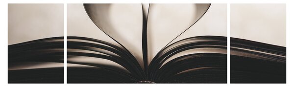 Obraz książki (170x50 cm)