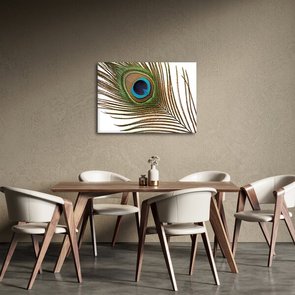 Obraz pawich piór (70x50 cm)