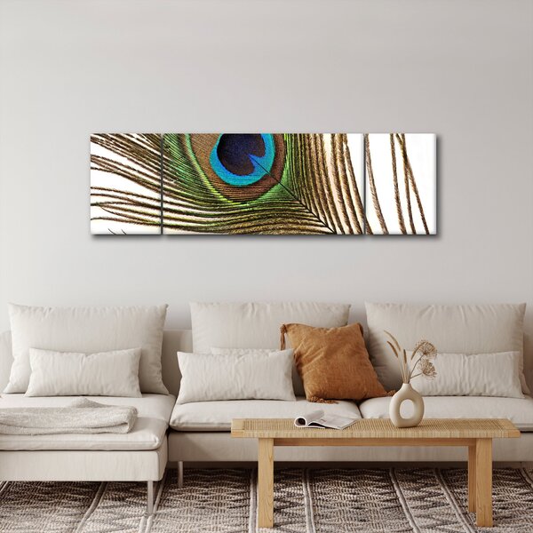 Obraz pawich piór (170x50 cm)