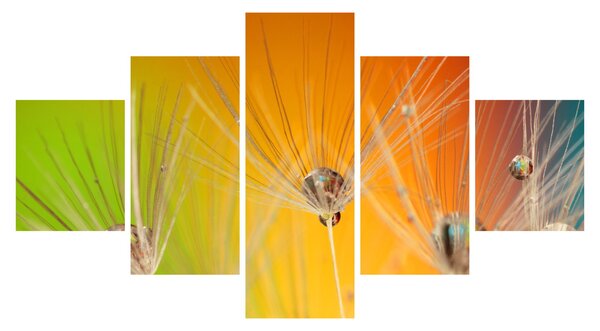 Obraz kropli na roślinie (125x70 cm)