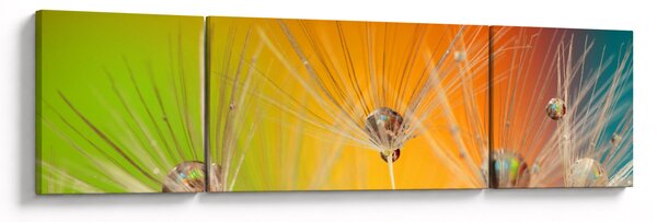 Obraz kropli na roślinie (170x50 cm)