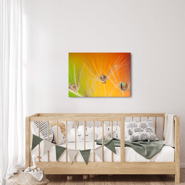 Obraz kropli na roślinie (70x50 cm)