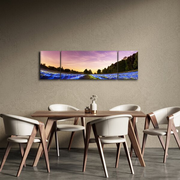 Obraz kolorowego pola (170x50 cm)