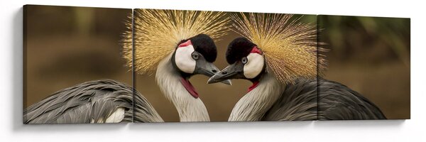 Obraz ptaków (170x50 cm)