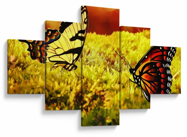 Obraz motyli (125x70 cm)
