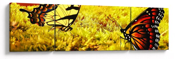 Obraz motyli (170x50 cm)