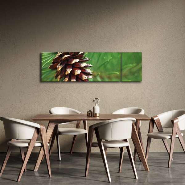 Obraz szyszki (170x50 cm)