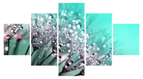 Obraz - zroszona roślina (125x70 cm)