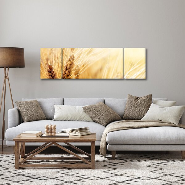 Obraz - szczegóły ziarna (170x50 cm)