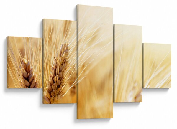 Obraz - szczegóły ziarna (125x70 cm)