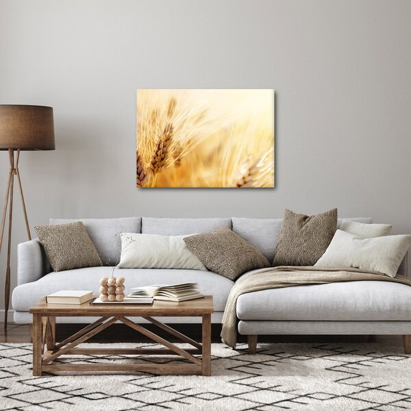 Obraz - szczegóły ziarna (70x50 cm)