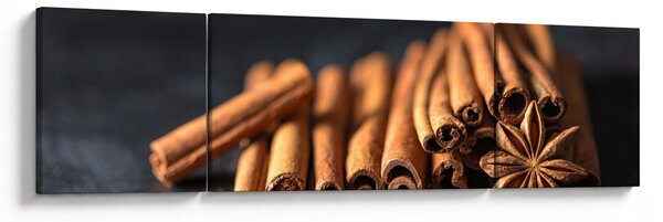 Obraz cynamonu (170x50 cm)