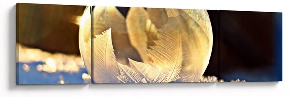 Obraz zamrożonej bańki (170x50 cm)