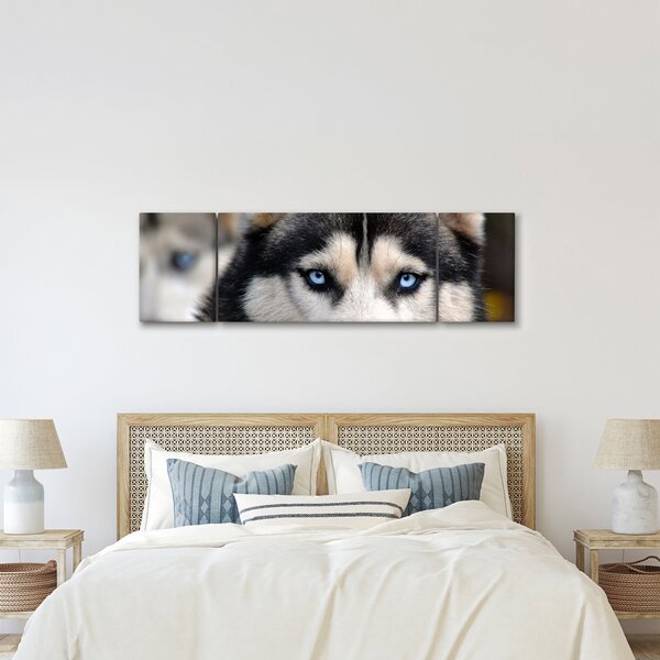 Obraz psa husky (170x50 cm)
