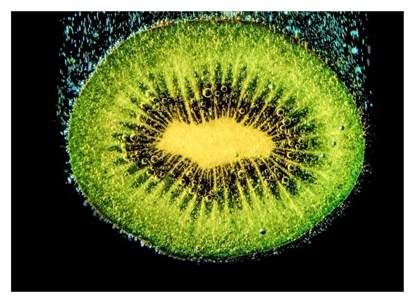 Obraz - szczegół kiwi w wodzie (70x50 cm)