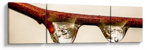 Obraz kropli na gałęzi (170x50 cm)