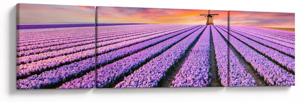 Obraz - farma kwiatów (170x50 cm)
