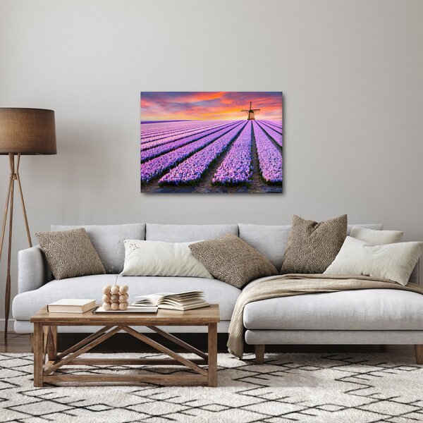 Obraz - farma kwiatów (70x50 cm)
