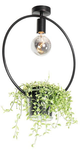 Nowoczesna lampa sufitowa czarna ze szklanym okrągłym - Roslini Oswietlenie wewnetrzne