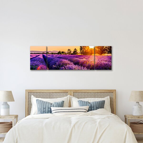 Obraz lawendowego pola (170x50 cm)