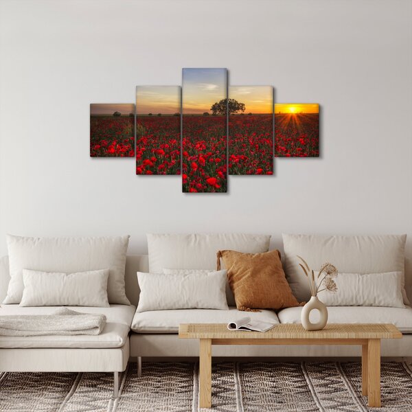 Obraz łąki z makami (125x70 cm)