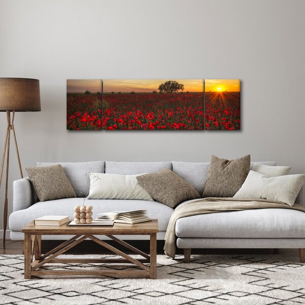Obraz łąki z makami (170x50 cm)