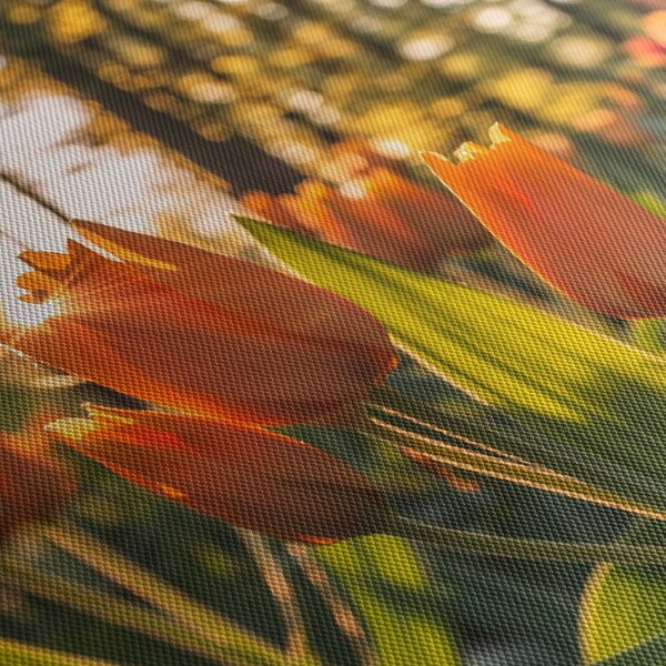 Obraz - pomarańczowe tulipany (170x50 cm)