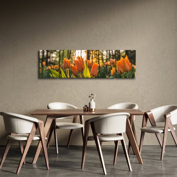 Obraz - pomarańczowe tulipany (170x50 cm)