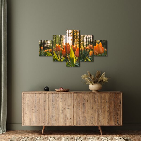 Obraz - pomarańczowe tulipany (125x70 cm)