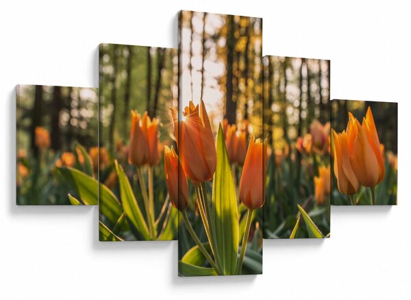 Obraz - pomarańczowe tulipany (125x70 cm)