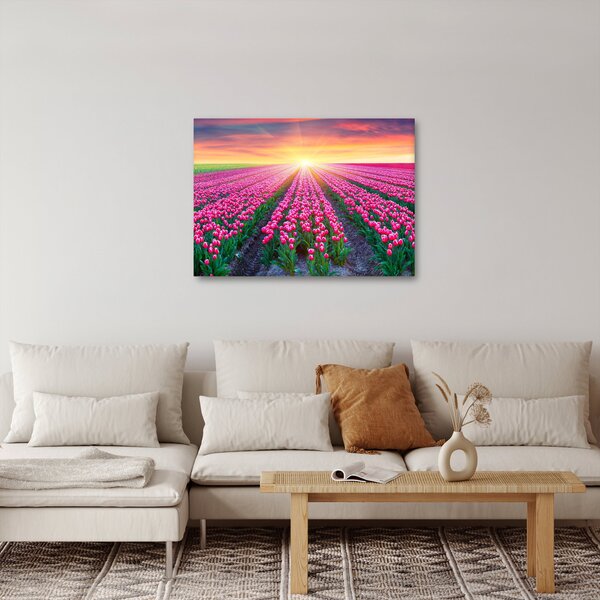 Obraz pole tulipanów ze słońcem (70x50 cm)