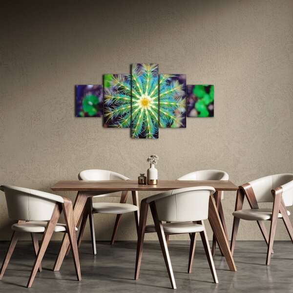 Obraz kaktusa (125x70 cm)