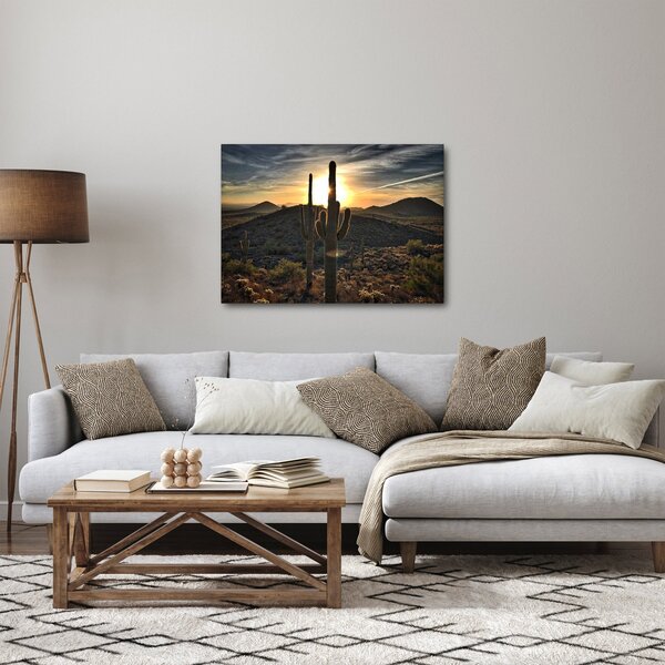 Obraz - kaktusy w słońcu (70x50 cm)