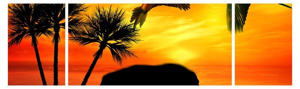 Obraz - papugi i słonie (170x50 cm)