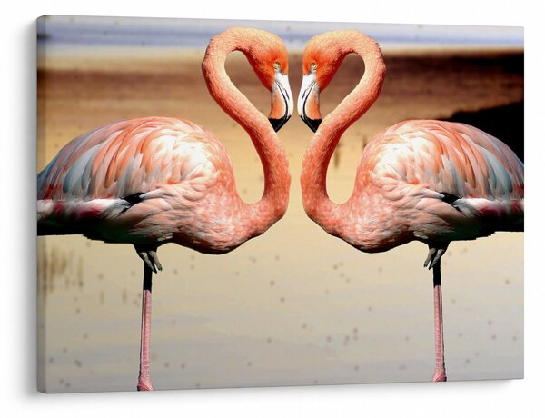 Obraz - dwa flamingi (70x50 cm)