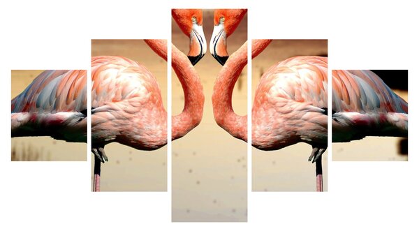 Obraz - dwa flamingi (125x70 cm)