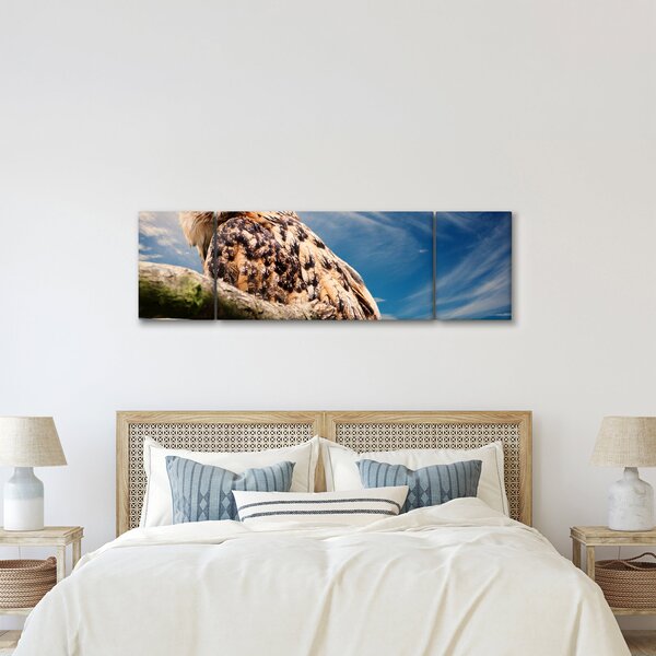 Obraz - Sowa (170x50 cm)